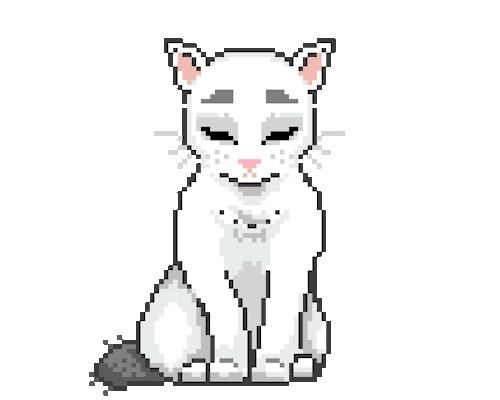 Animal image